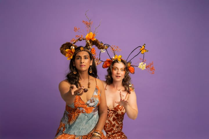 Audition Submissions for A Midsummer Night’s Dream
